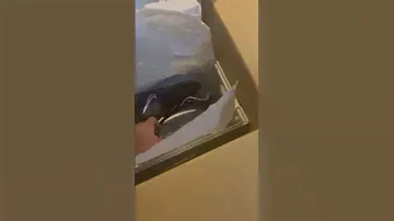 Nike adapt bb 2.0